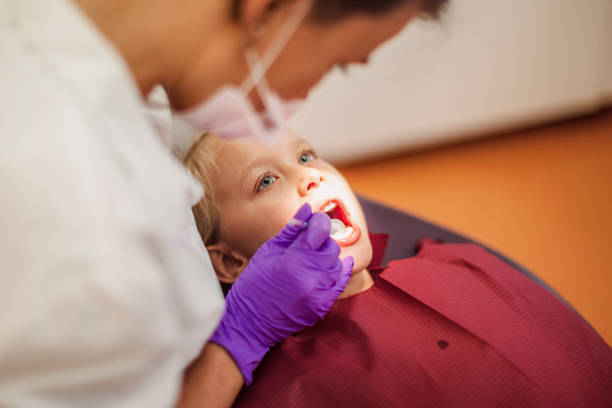 Best Holiday Emergency Dentist in Forestville, OH
